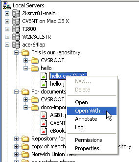 CVS Suite Studio Server Browse in Windows XP